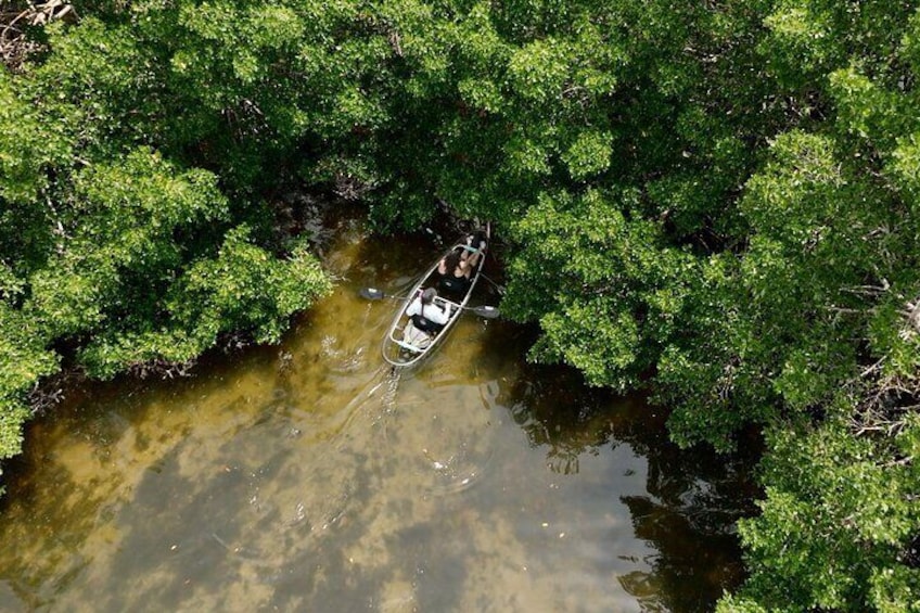 Clear kayak entering the mangrove tunnels at Robinson Preserve