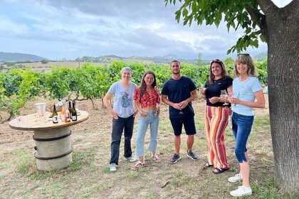 Private Wine Tasting Tour around Ile Rousse and Calvi