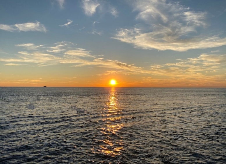 Cape May: Sunset Dolphin Watching Cruise with Food