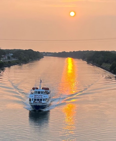 Picture 2 for Activity Cape May: Sunset Dolphin Watching Cruise with Food
