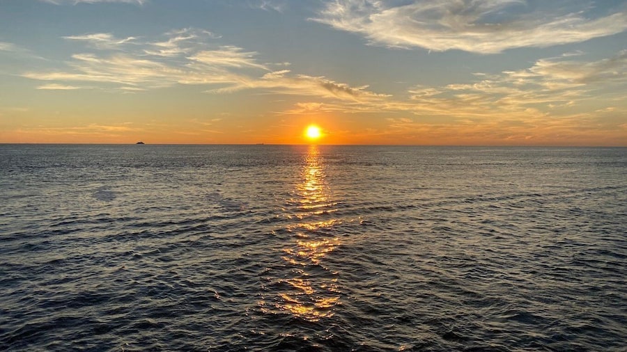 Cape May: Sunset Dolphin Watching Cruise with Food