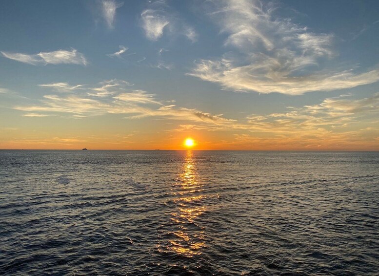 Cape May: Sunset Dolphin Watching Cruise with Food