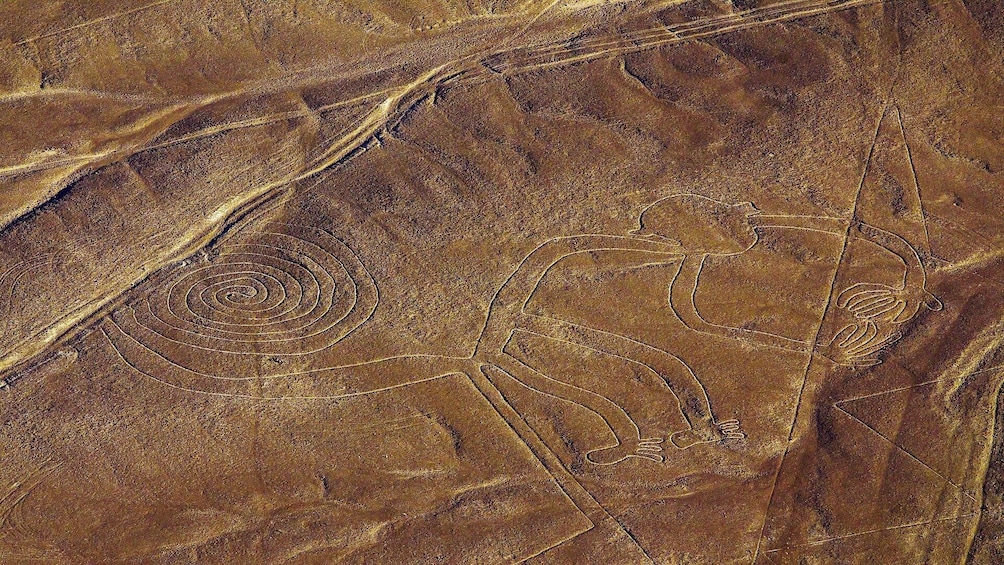 Overflight of the Nazca Lines