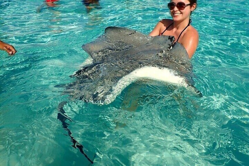 Cayman Islands Snorkeling with Starfish and Stingrays