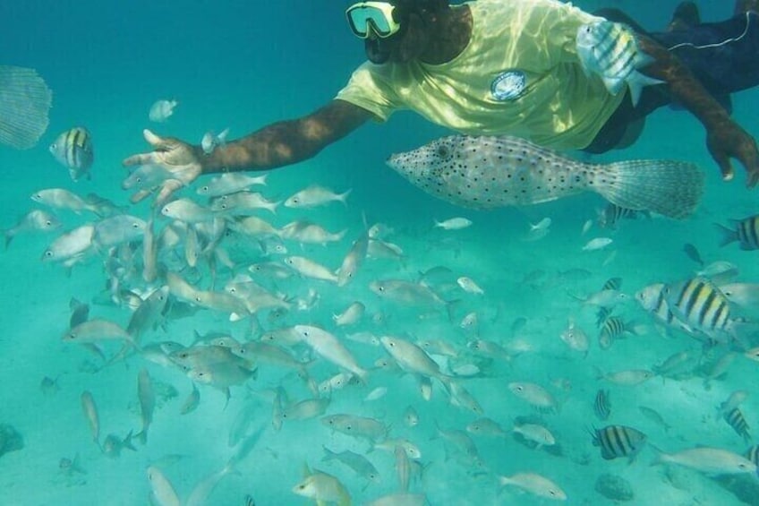 Cayman Islands Snorkeling with Starfish and Stingrays