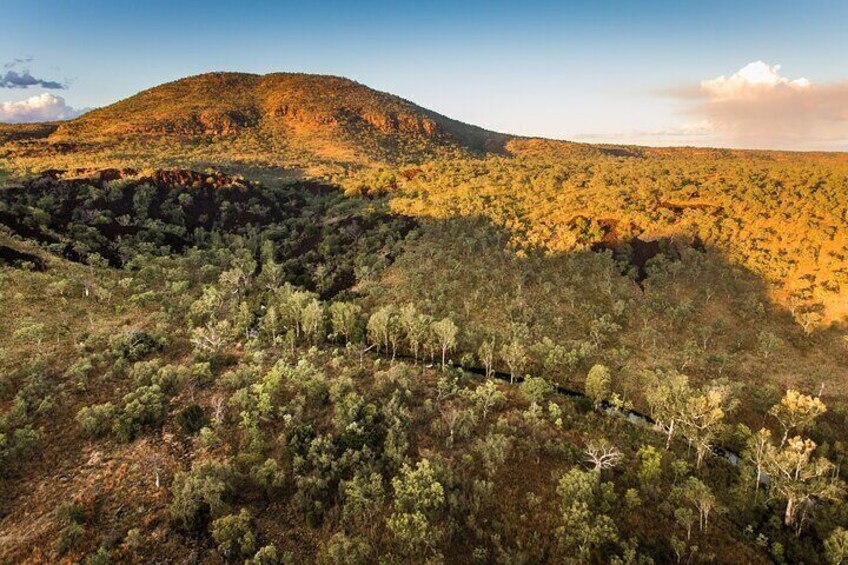 Mount Hart Outback Safari