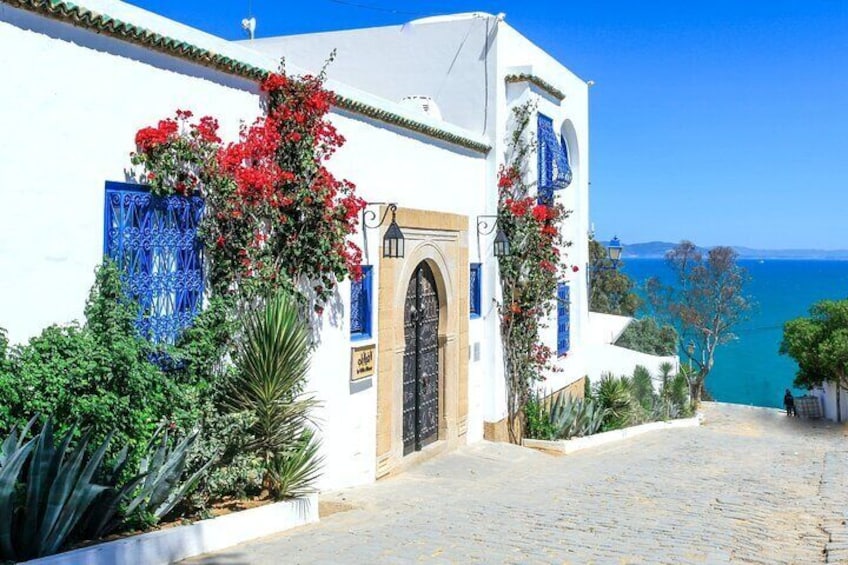 Ancient Carthage and Sidi Bou Said Half Day Tour with Lunch