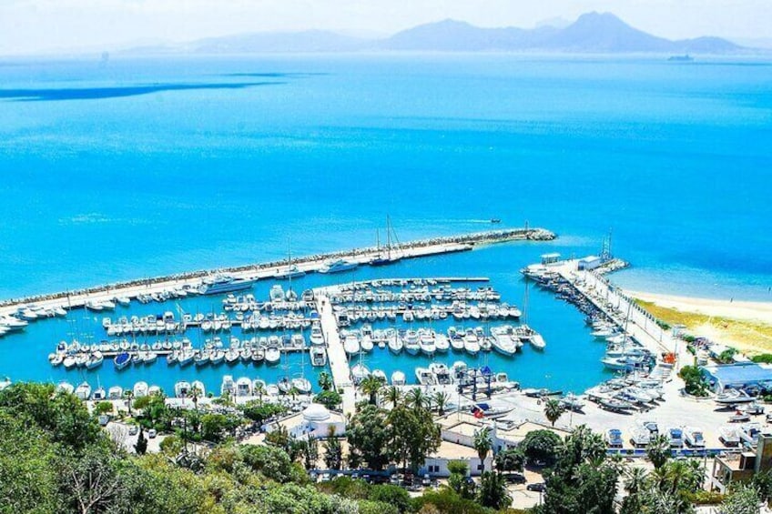 Ancient Carthage and Sidi Bou Said Tour with Lunch