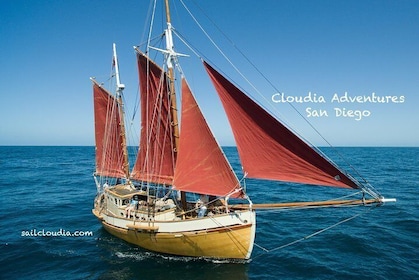 Private Sailing Tour -2 Hour (Up to 12 Passengers)