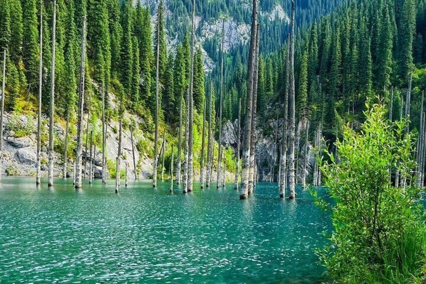 One day Private Tour to Charyn Canyon, Kaindy and Kolsay Lakes