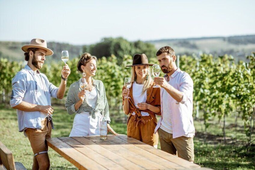 3-Hour Private Wine Tasting and Winery Tour with Wine Expert