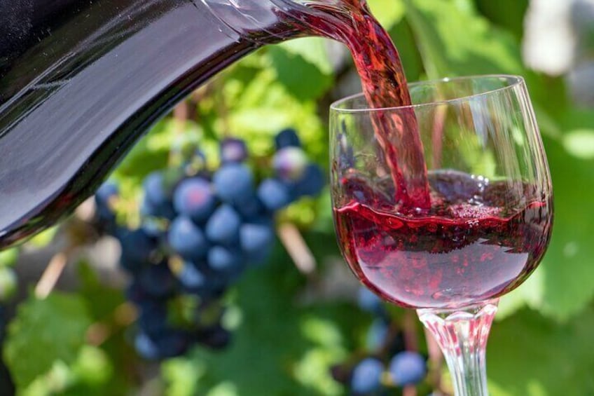 3-Hour Private Wine Tasting and Winery Tour with Wine Expert