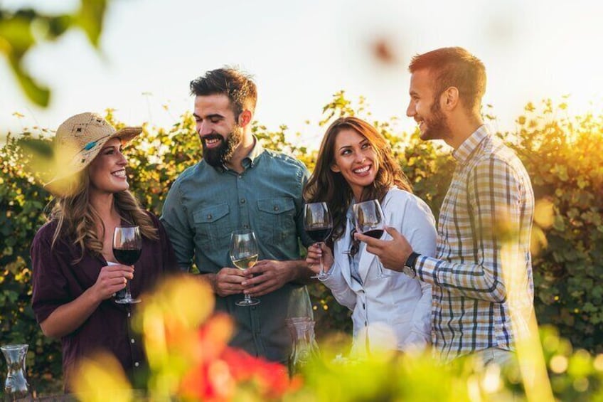 3-Hour Private Wine Tasting and Winery Tour with Wine Expert