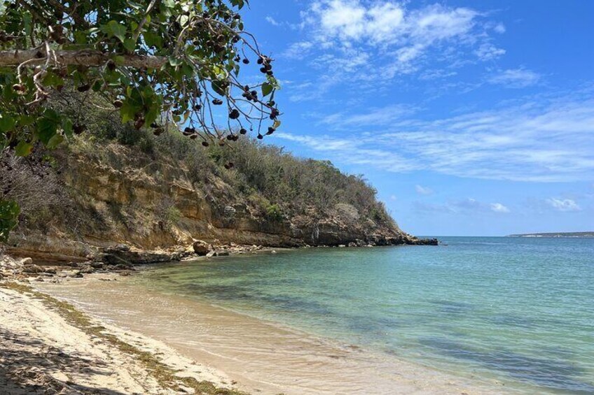 Full Day Vamos Pa la Isla Southwest Experience