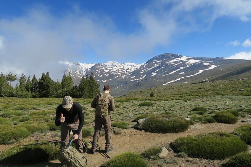 Hike in Ascent to Mulhacén