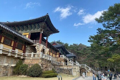 Guided Car Tour in Geyongju with a Local Guide