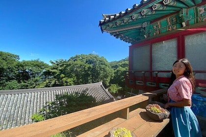 Guided Car Tour in Geyongju with a Local Guide