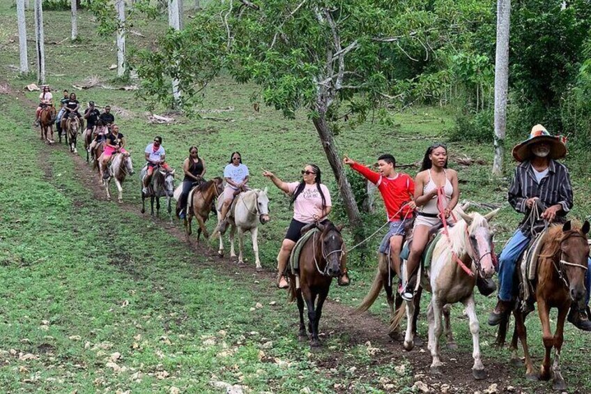 Private Horseback Riding with Pickup from Punta Cana