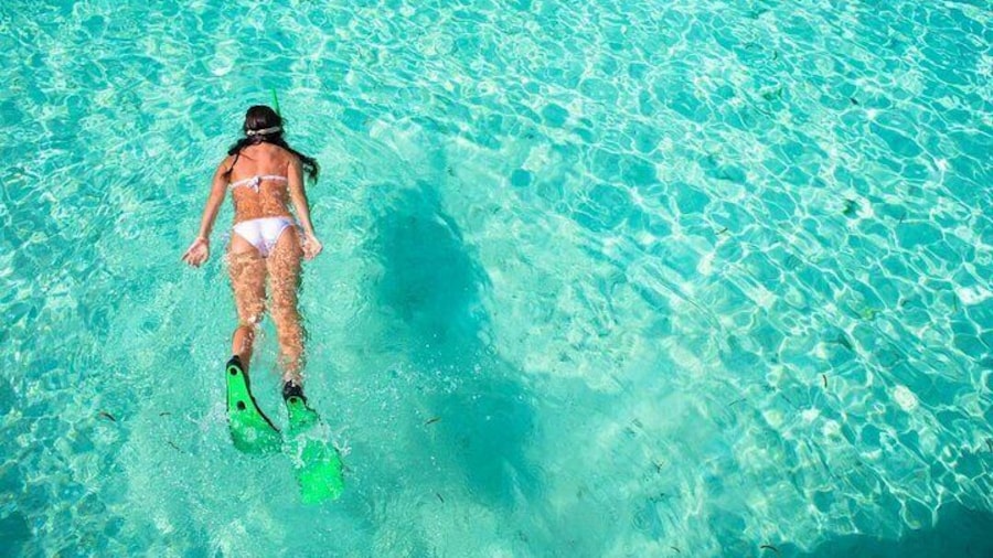 Stingray City Grand Cayman tour from Ritz Carlton