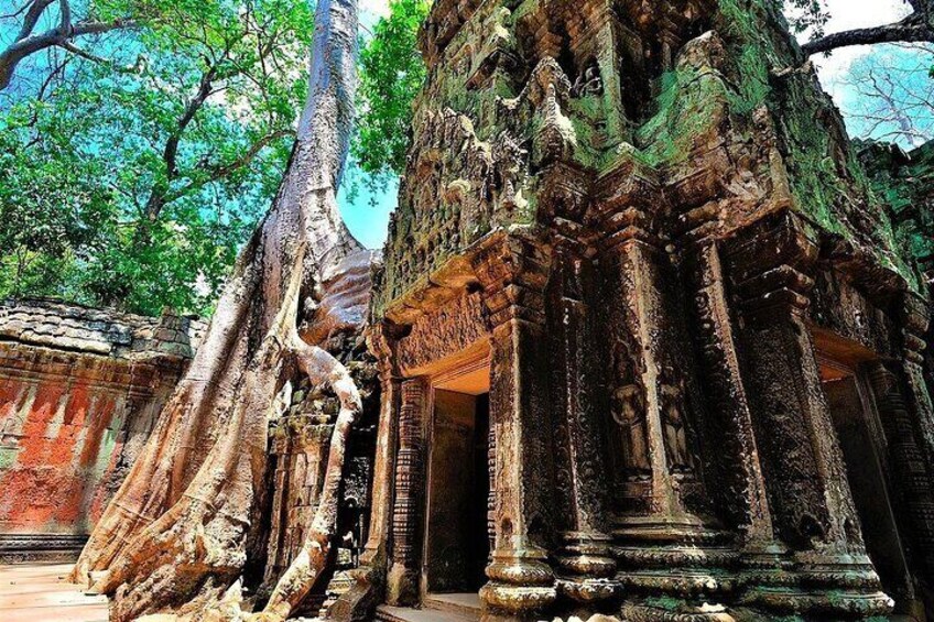 7 Days Private Round Trip Siem Reap and Battambang by Boat & Road