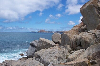 Victor Harbor and Fleurieu Peninsula Tour