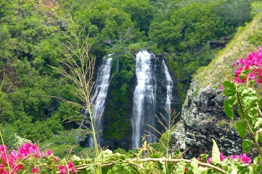 4 Hours Kauai Hawaii Sightseeing Tour