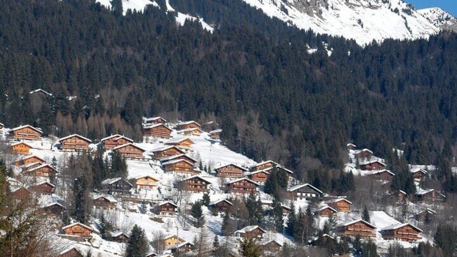 Private Tour to Les Diablerets and Montreux