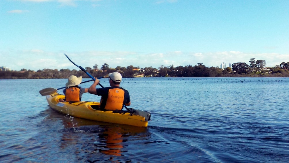Swan River HalfDay Kayak Tour