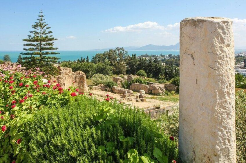 Guided Carthage and Sidi Bou Said Half Day Tour with Lunch