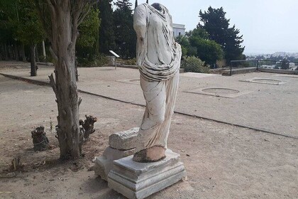 Guidet Carthage og Sidi Bou Said Halvdagstur med frokost