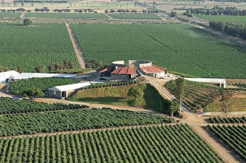 Bodegas de Santo Tomas.