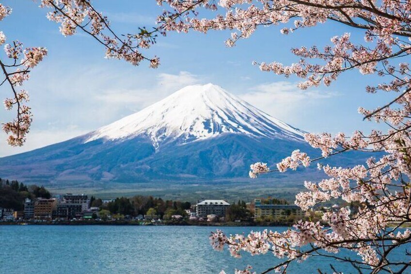 2Days Mt Fuji trip hiking transfer customizable