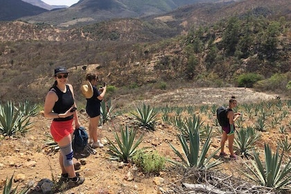 Hiking from Hierve el Agua to San Baltazar With and Without Food