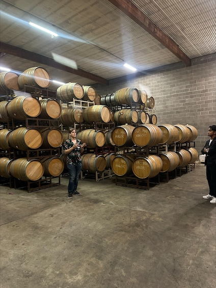 Napa and Sonoma Valley Wine Tour