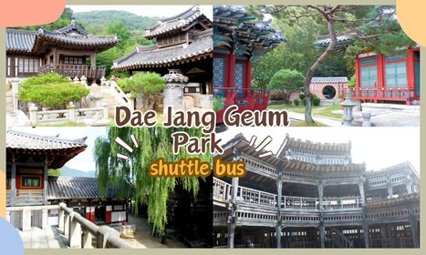 Vanuit Seoul: Halve dag MBC Dae Jang Geum Park Transfer