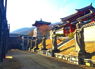 Depuis Séoul : Transfert d'une demi-journée au parc MBC Dae Jang Geum