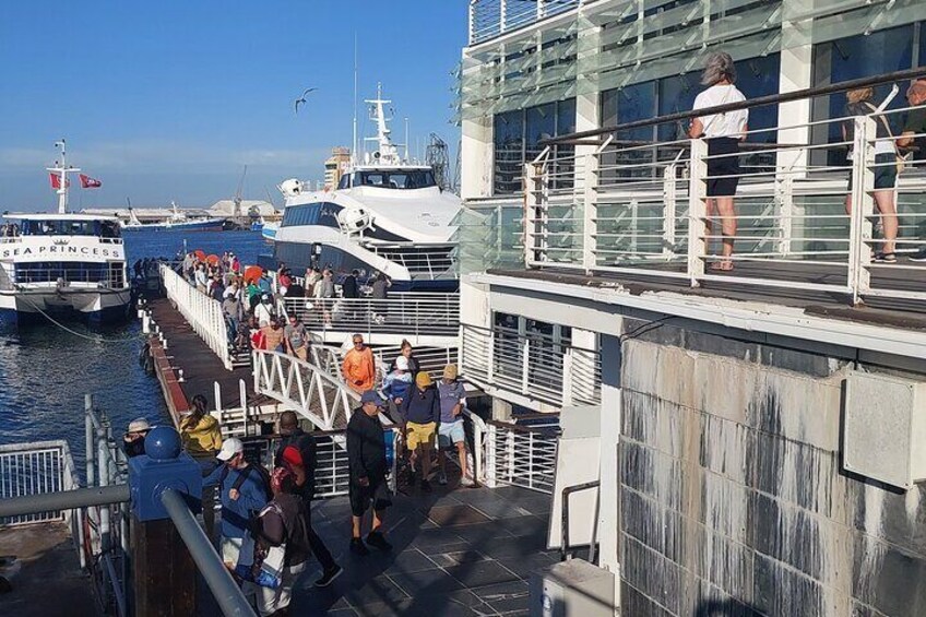 Robben Island tour, Tickets included with Hotel Pickup 