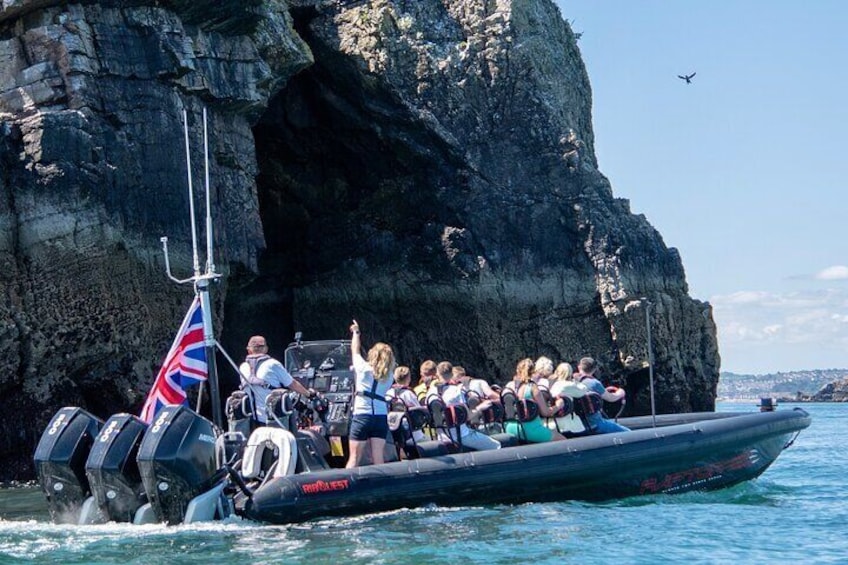 30-Minute Raptor RIB Ride Activity in Torquay