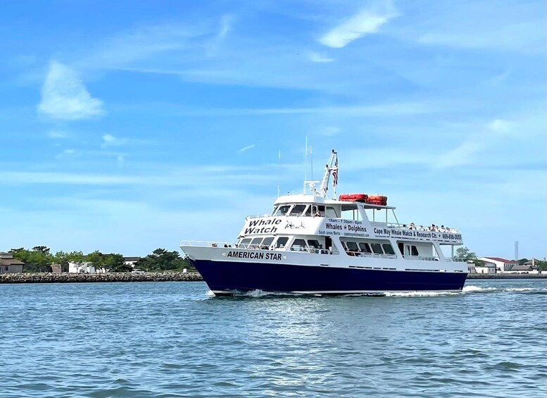 Picture 1 for Activity Cape May: Scenic Whale and Dolphin Watching Cruise