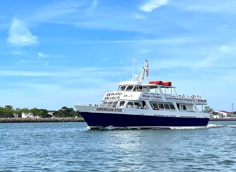 Picture 1 for Activity Cape May: Scenic Whale and Dolphin Watching Cruise