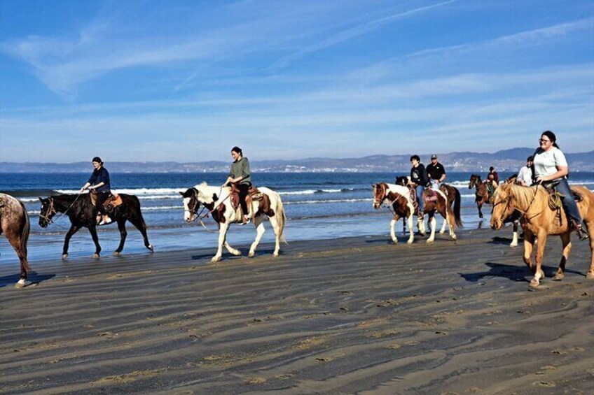 Horseback Riding on the Beach from Ensenada