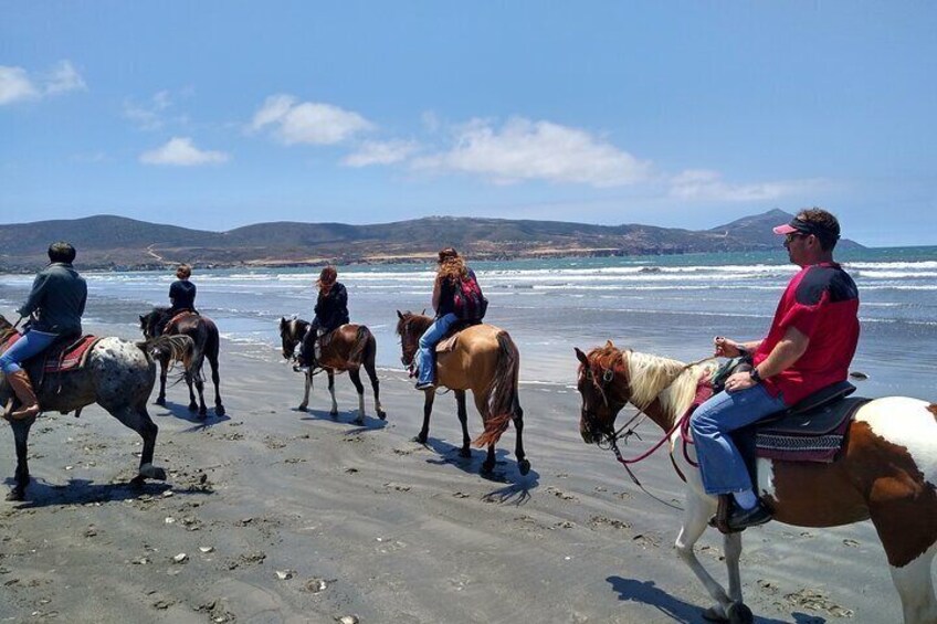 Horseback Riding on the Beach from Ensenada