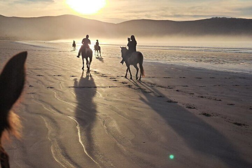 Horseback Riding on the Beach from Ensenada