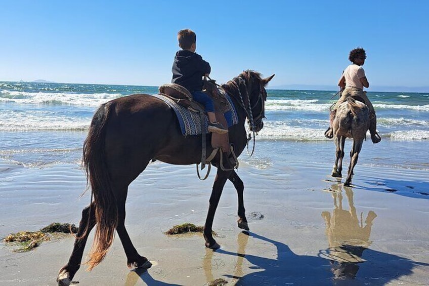 Horseback Riding on the Beach from Ensenada