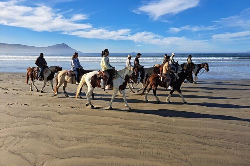 Horseback Riding on the Beach from Ensenada