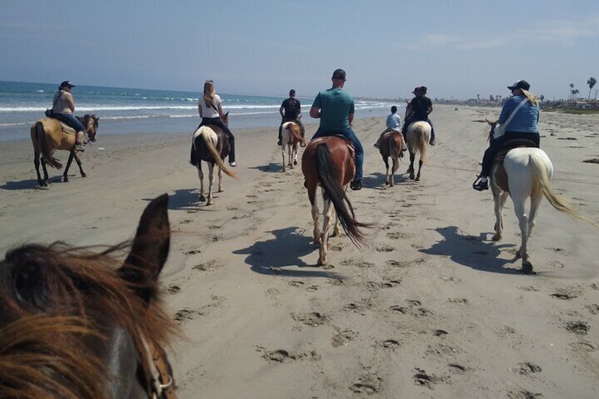 Horseback Riding on the Beach from Ensenada
