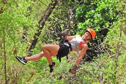  Actividad de Tirolesa y Parque de los Monos en Guanacaste