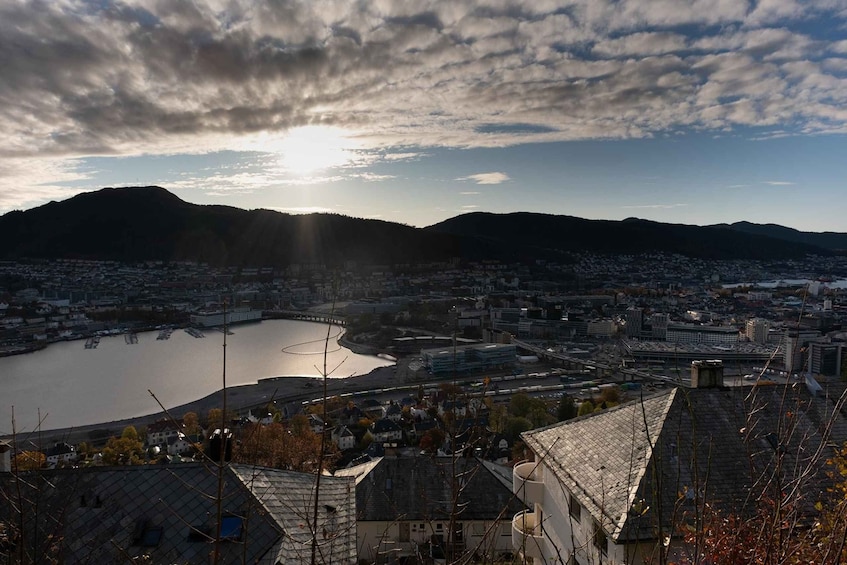 Picture 1 for Activity Bergen: Guided Minibus Tour with Photo Stops & Bryggen Tour