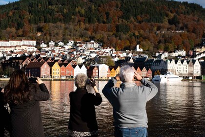 Bergen: Opastettu minibussikierros valokuvapysähdyksineen ja Bryggenin kier...