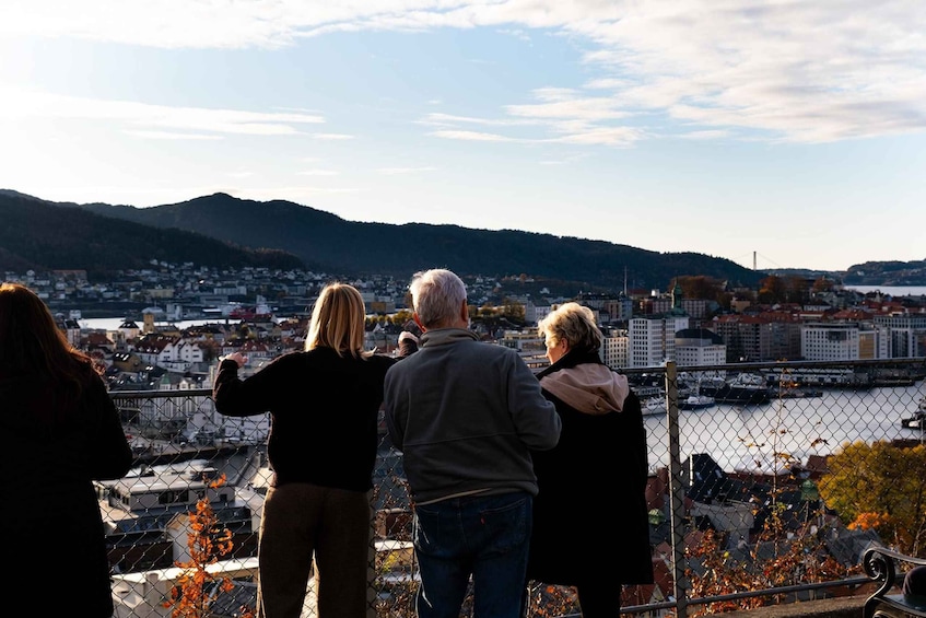 Picture 12 for Activity Bergen: Guided Minibus Tour with Photo Stops & Bryggen Tour